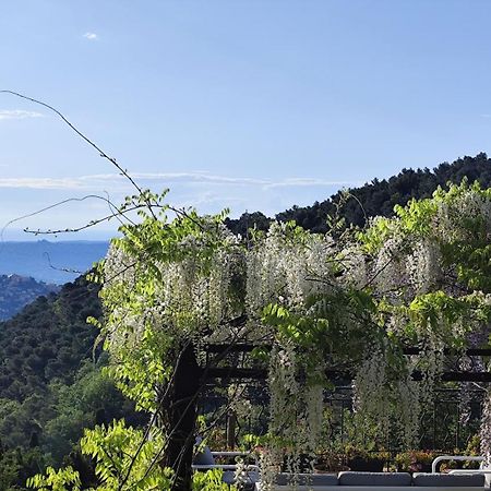 卡布里斯Mas Des Buscades住宿加早餐旅馆 外观 照片